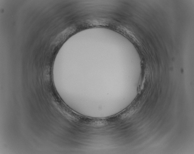 X0000078270402200612011724