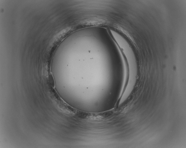 X0000078270403200612011724