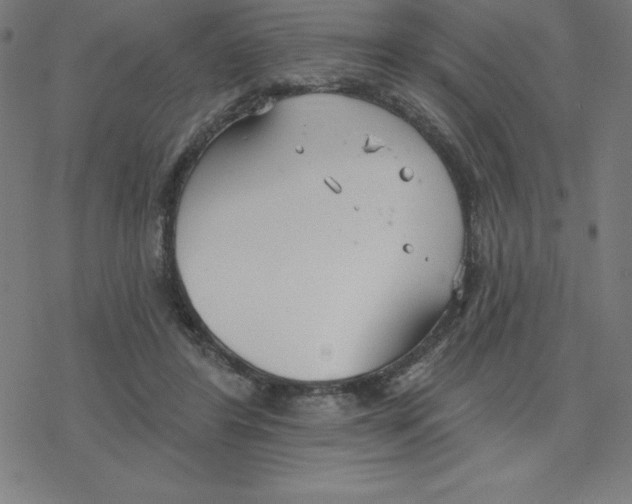 X0000078270404200612011724