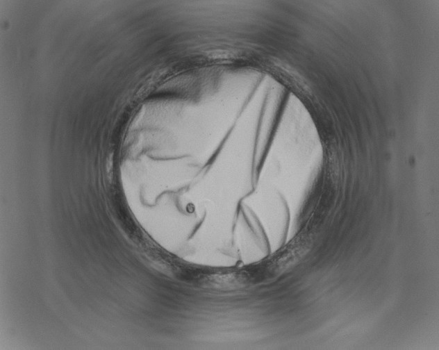 X0000078270406200612011724