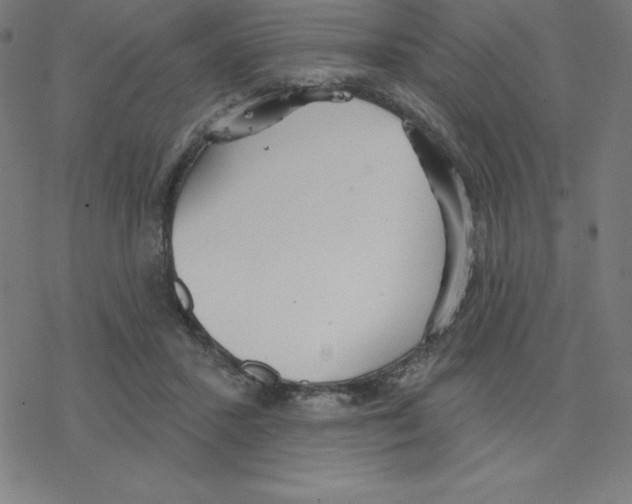 X0000078270407200612011724