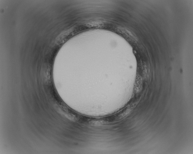 X0000078270408200612011724