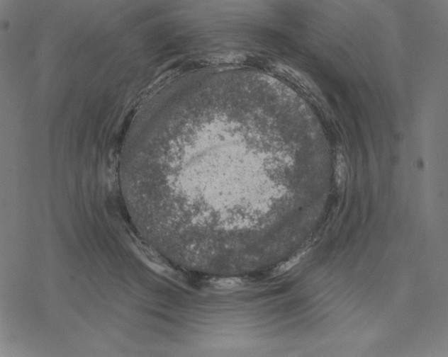 X0000078270409200612011724