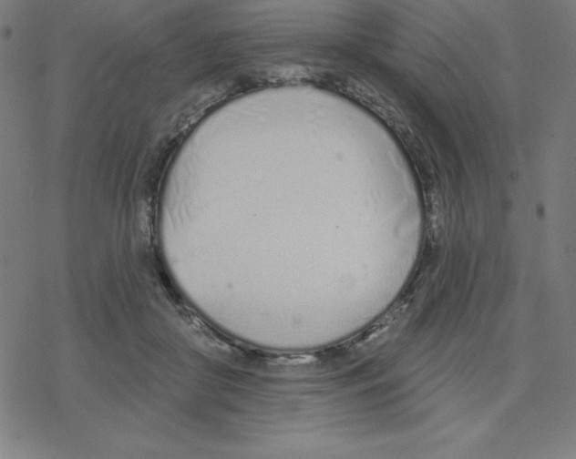 X0000078270410200612011724