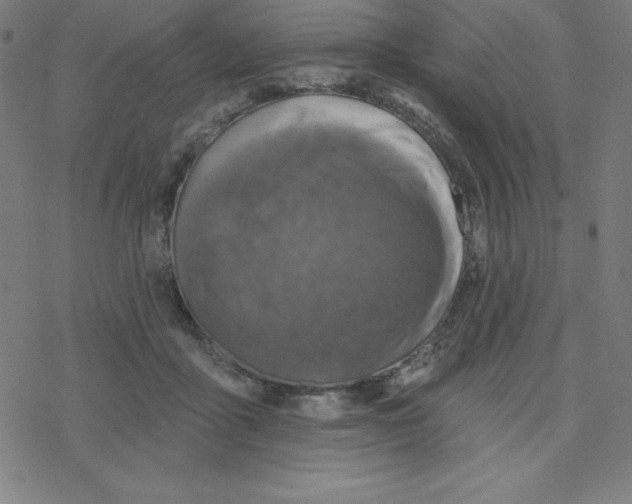 X0000078270411200612011724