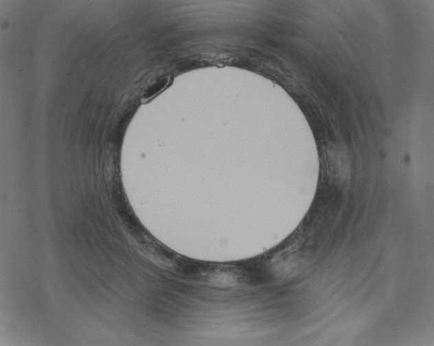 X0000078270412200612011724