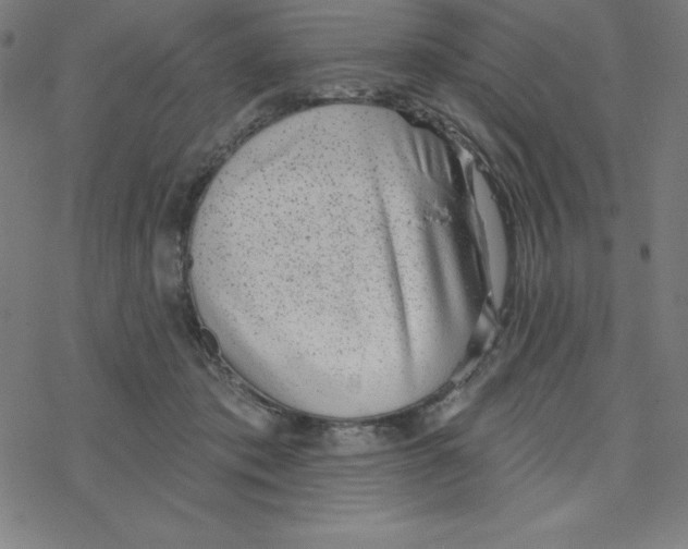 X0000078270413200612011724