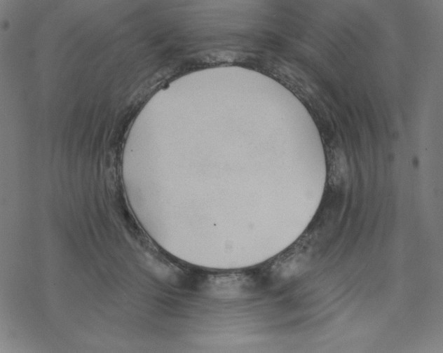 X0000078270414200612011724