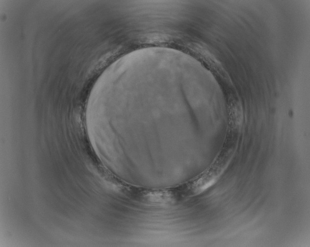 X0000078270415200612011724