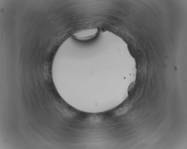 X0000078270416200612011724