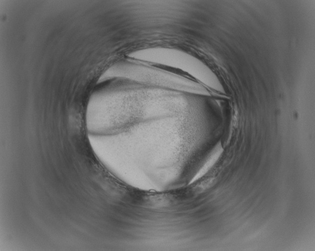 X0000078270417200612011724