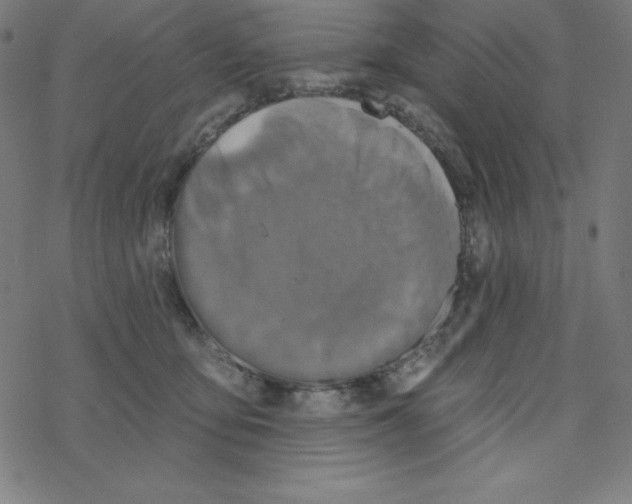 X0000078270419200612011724