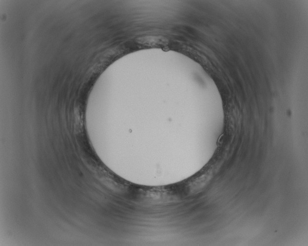 X0000078270420200612011724