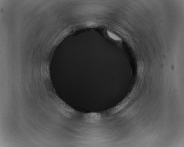 X0000078270421200612011724