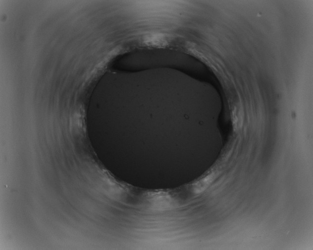 X0000078270424200612011724