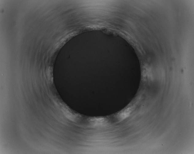 X0000078270428200612011724