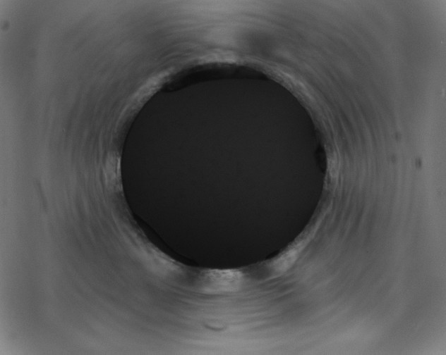 X0000078270429200612011724