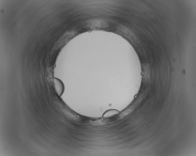 X0000078270430200612011724