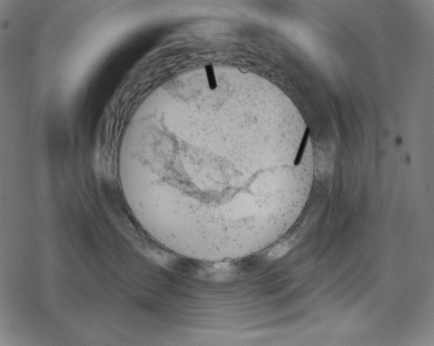 X0000078270431200612011724