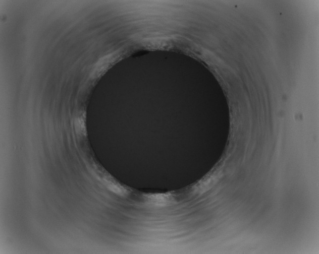 X0000078270432200612011724