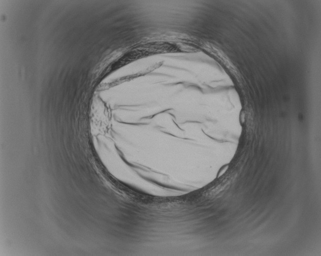 X0000078270433200612011723