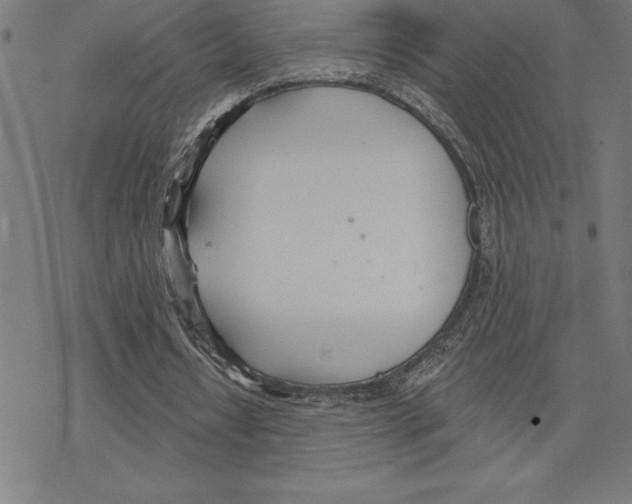 X0000078270434200612011723