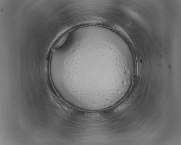 X0000078270435200612011723