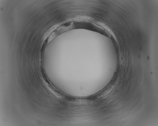 X0000078270437200612011723