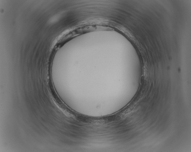 X0000078270438200612011723