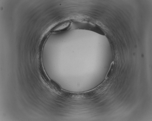 X0000078270440200612011723