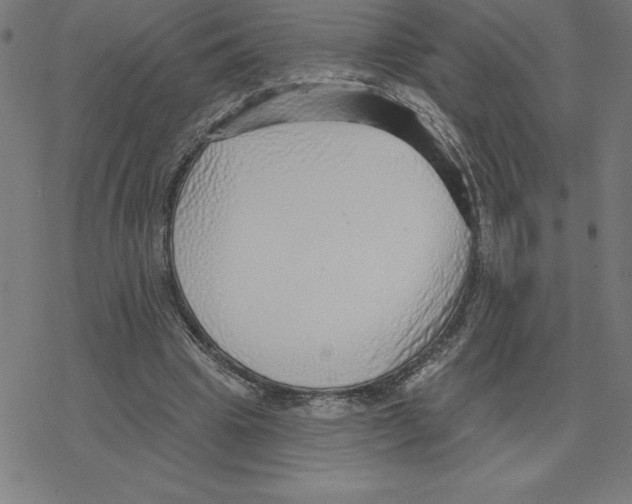 X0000078270441200612011723