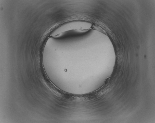 X0000078270442200612011723