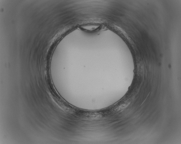 X0000078270443200612011723