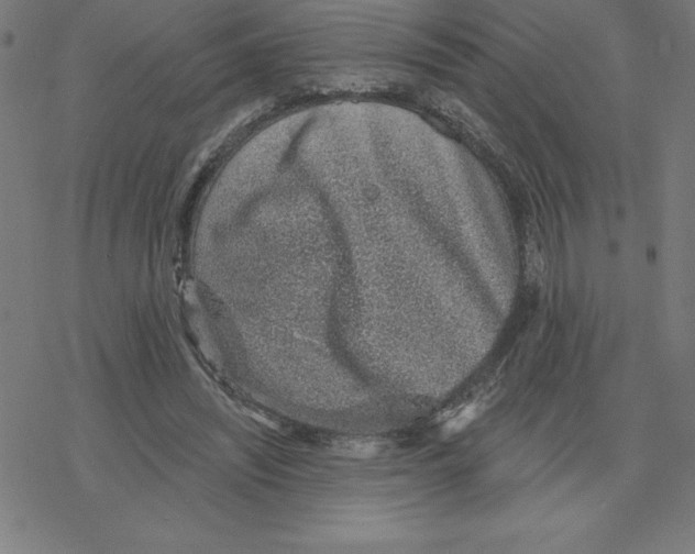 X0000078270444200612011723