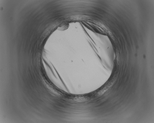 X0000078270445200612011723