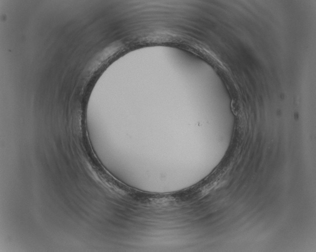 X0000078270446200612011723