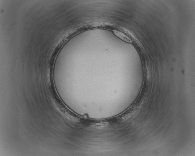 X0000078270447200612011723