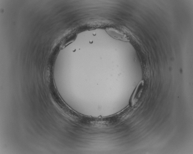 X0000078270448200612011723