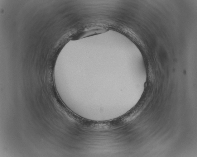 X0000078270449200612011723