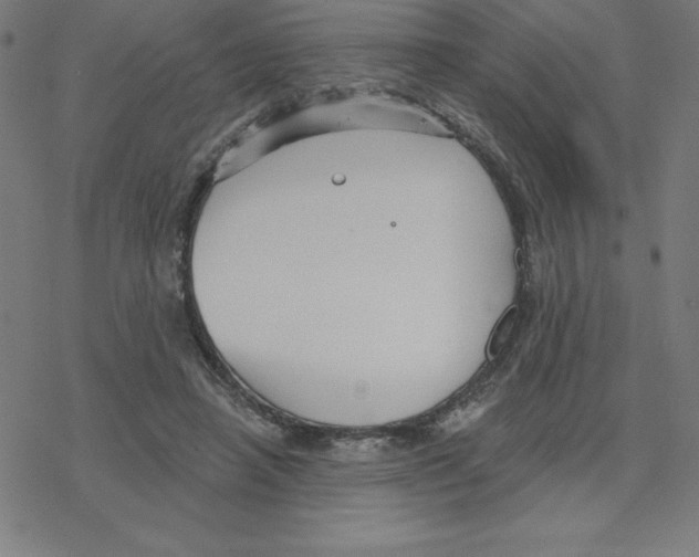 X0000078270450200612011723