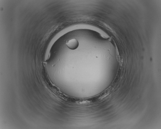 X0000078270452200612011723