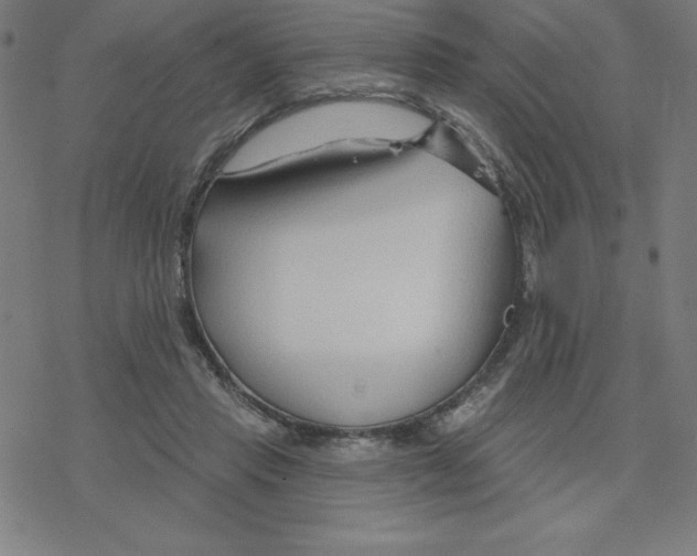 X0000078270453200612011723