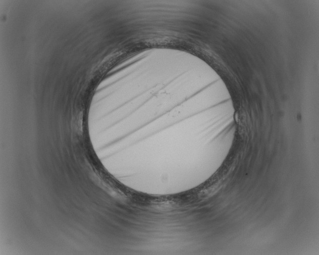 X0000078270454200612011723