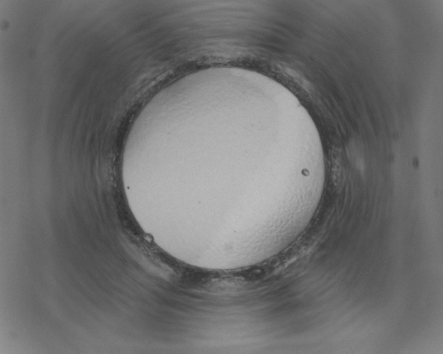 X0000078270455200612011723