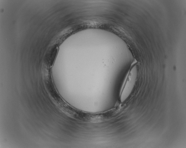 X0000078270456200612011723