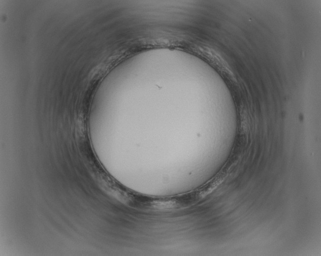 X0000078270457200612011723