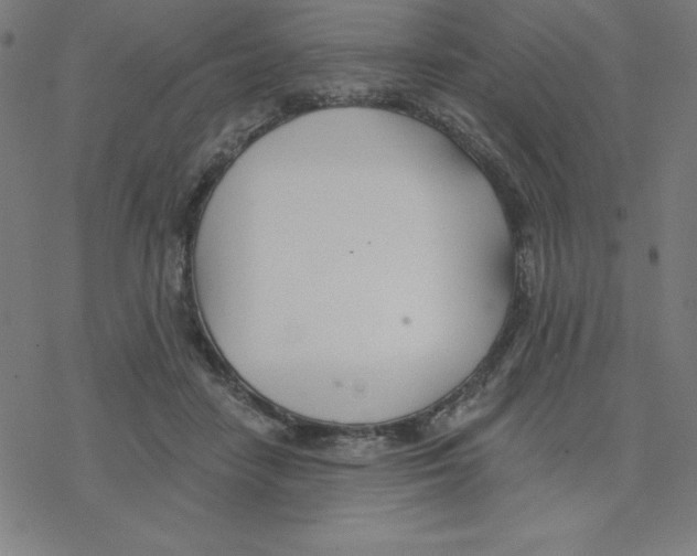 X0000078270458200612011723