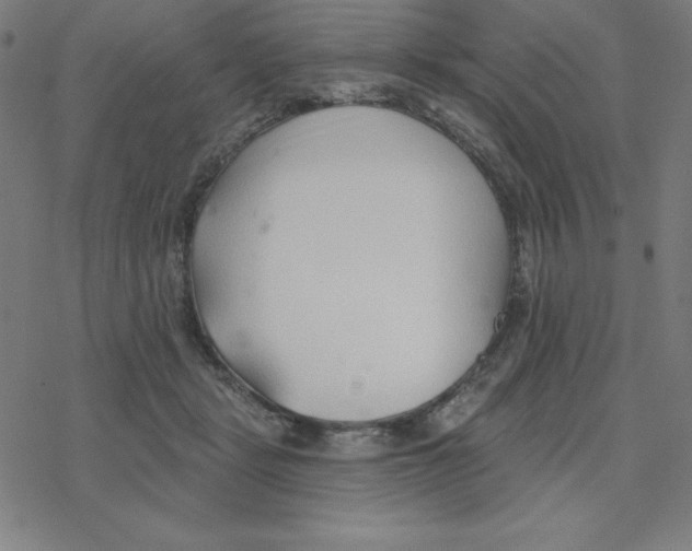 X0000078270461200612011723