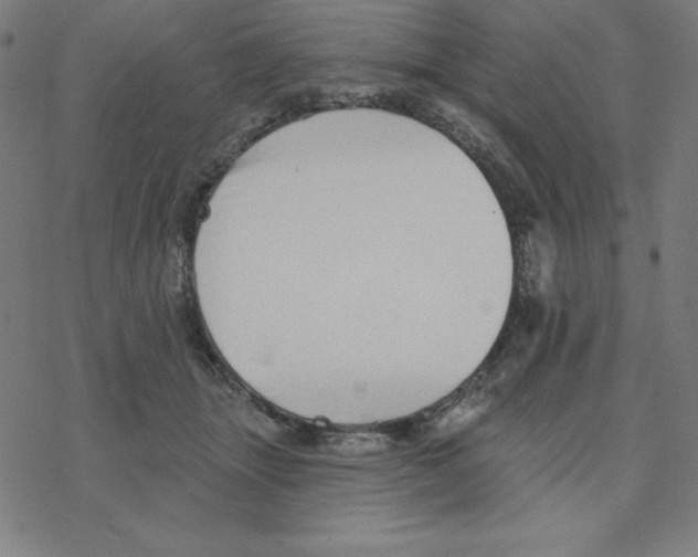 X0000078270463200612011724