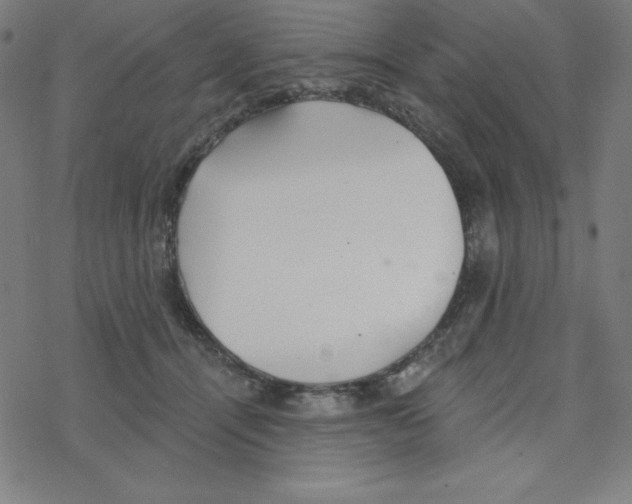 X0000078270464200612011724